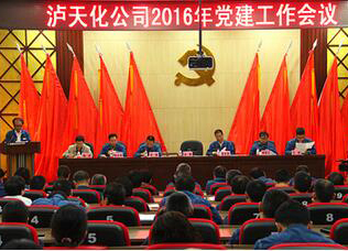 6686体育官网公司召开2016年度党建工作会