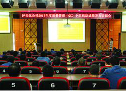 6686体育官网股份公司召开2017年度QC小组活动成果发布会