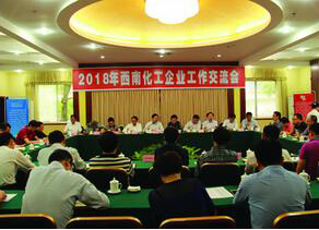 西南化工企业工作交流会在6686体育官网召开