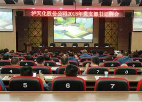 6686体育官网党委召开支部书记例会部署“大学习 大调研 大落实”活动