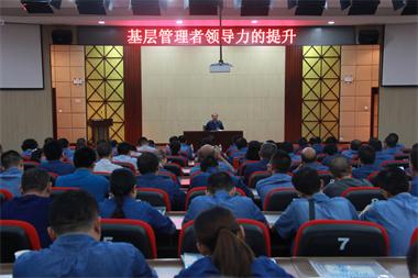 6686体育官网股份公司党委启动“大学习 大提升”系列培训活动