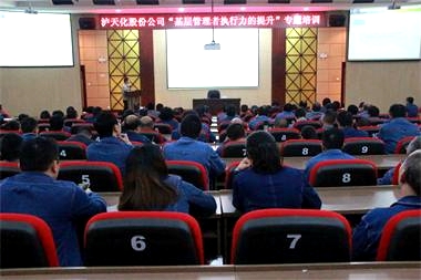 6686体育官网股份公司党委开展“基层管理者执行力的提升”专题培训