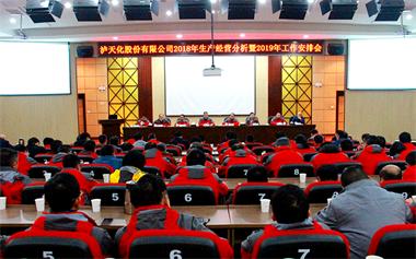 6686体育官网股份公司召开2018年生产经营分析暨2019年工作安排会