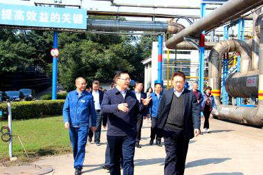 泸州市委副书记市长杨林兴率队到6686体育官网调研