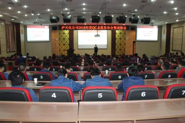 6686体育官网股份公司召开2018年度QC小组活动成果发布会