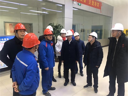 6686体育官网股份公司党委书记廖廷君率队赴中盐红四方公司及史丹利公司调研