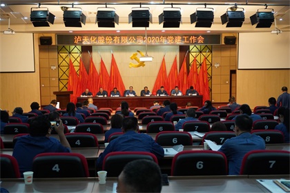 6686体育官网股份公司召开2020年党建工作会