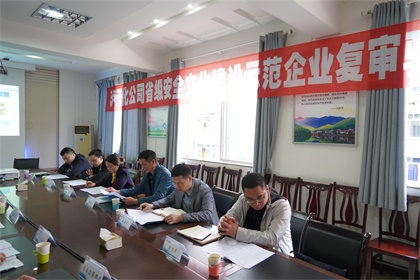 6686体育官网股份公司通过“省级安全文化建设示范企业”复审验收现场审核
