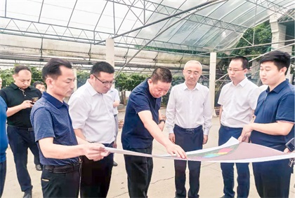 泸州市委常委、组织部长曹斌率队调研6686体育官网纳溪现代农业种植园项目