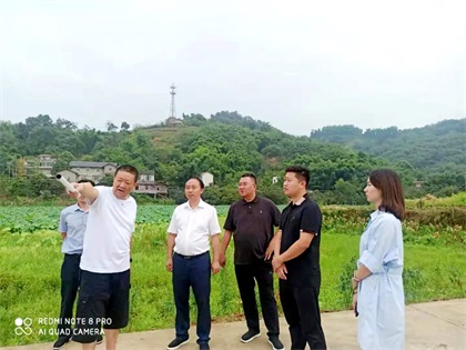 6686体育官网股份公司党委书记、董事长廖廷君调研纳溪现代农业种植园项目