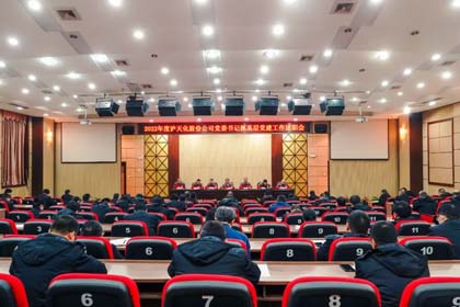 6686体育官网股份公司召开2022年度党委书记抓基层党建工作述职暨领导班子和领导人员考核工作会