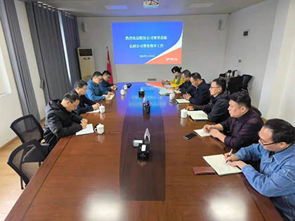 6686体育官网股份公司纪委书记陈伟带队到弘润公司开展专项督导检查