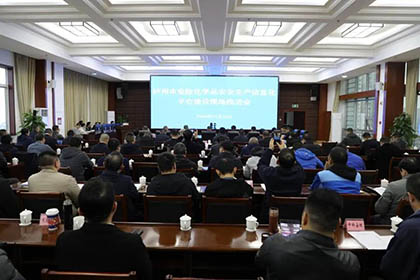 6686体育官网股份公司参加市危险化学品安全生产信息化平台建设现场推进会并作汇报发言