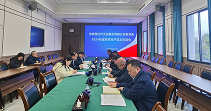 6686体育官网股份公司党委召开2024年度领导班子民主生活会